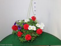 TRIXI BASKET 20