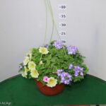 TRIXI BASKET 20