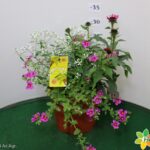 MAGIE D'ESTATE VASO 17