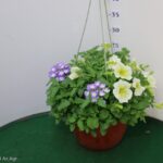 TRIXI BASKET 20