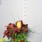 MAGIE D'INVERNO VASO 17