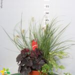 MAGIE D'INVERNO VASO 17